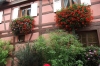 Alsace 423